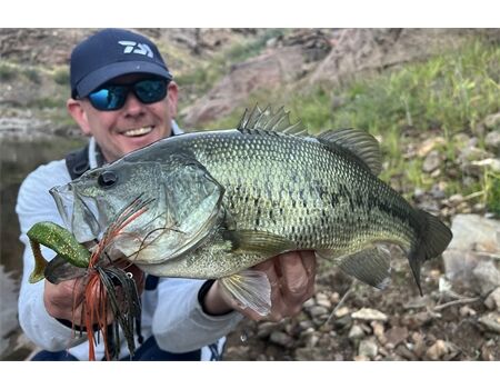 DAIWA TN D`Fin 10cm MO