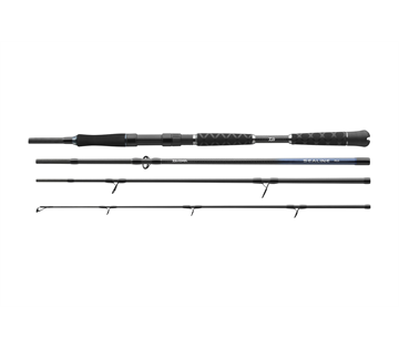 DAIWA Sealine Travel Pilk 4tlg | 80-200g | 2.40m