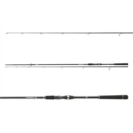 DAIWA Prorex S Spin 2tlg | 50-110g | 2.70m
