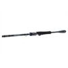 DAIWA Prorex AGS Spin 2tlg | 28-70g | 2.50m