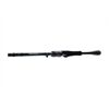 DAIWA Prorex AGS Spin 2tlg | 28-70g | 2.50m
