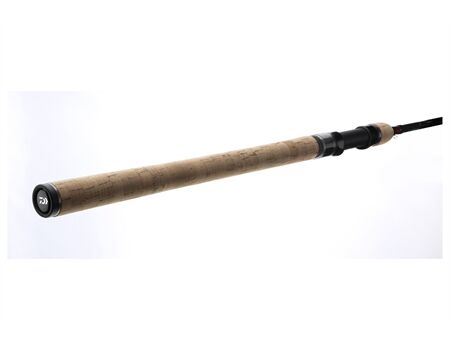 DAIWA Ninja X Spinnrute | 3.00m | 30-60g Wurfgewicht