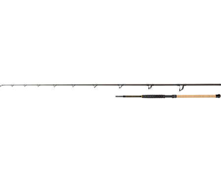 BLACK CAT Battle Cat Elite Bank 2,80m, 180 - 300g limitiert