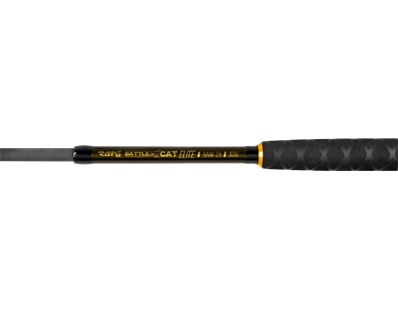 BLACK CAT Battle Cat Elite Bank 2,80m, 180 - 300g limitiert