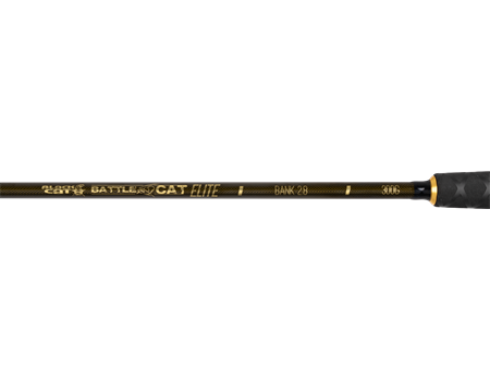 BLACK CAT Battle Cat Elite Bank 2,80m, 180 bis 300g