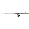 BLACK CAT Hard Core Allroundcombo, 2,70m | 250 bis 500g BLACK CAT Hard Core Allroundcombo, 2,70m | 250 bis 500g