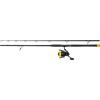 BLACK CAT Hard Core Allroundcombo, 2,70m | 250 bis 500g BLACK CAT Hard Core Allroundcombo, 2,70m | 250 bis 500g