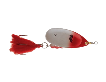 hecht spinner