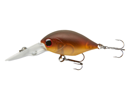crankbait