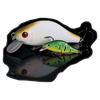 DOIYO CONCEPT Yuragu 52 Hiratai floating, BG