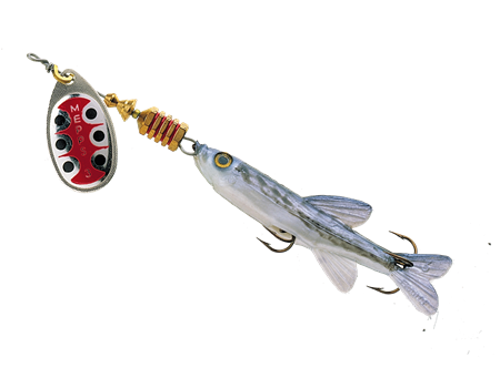 Mepps Aglia m. Fisch